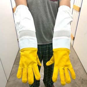 Leather Gloves - Ventilated